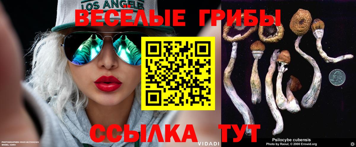 Галлюциногенные грибы GOLDEN TEACHER  Вход с VPN  Псилоцибиновые грибы Magic Shrooms  Калининград 